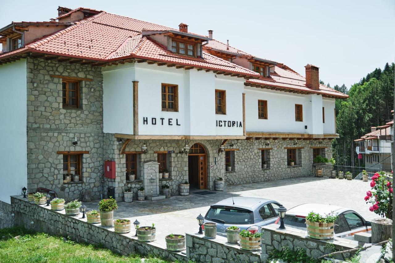 Hotel Victoria Metsovo Exterior photo