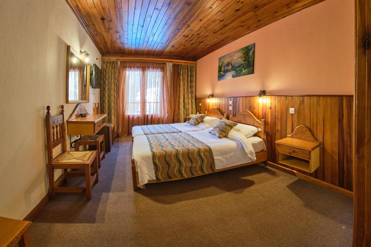 Hotel Victoria Metsovo Exterior photo